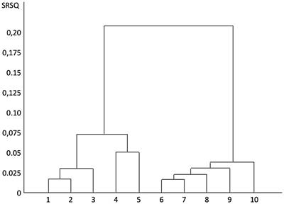 The Oxytocinergic System as a Mediator of Anti-stress and Instorative Effects Induced by Nature: The Calm and Connection Theory